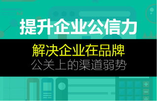 蜂鳥(niǎo)搜索營(yíng)銷(xiāo)系統(tǒng) 上海互聯(lián)網(wǎng)推廣外包公司的卓越信息技術(shù)咨詢服務(wù)解決方案