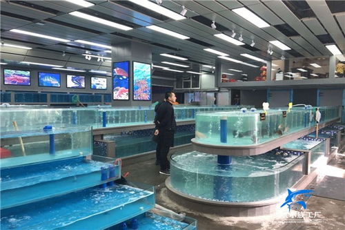 深耕品質(zhì)與服務(wù) 桃江酒店水景定做為何青睞海鯊